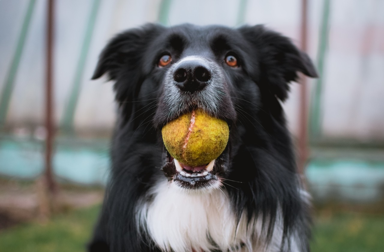 Photo by Tadeusz Lakota on Unsplash
